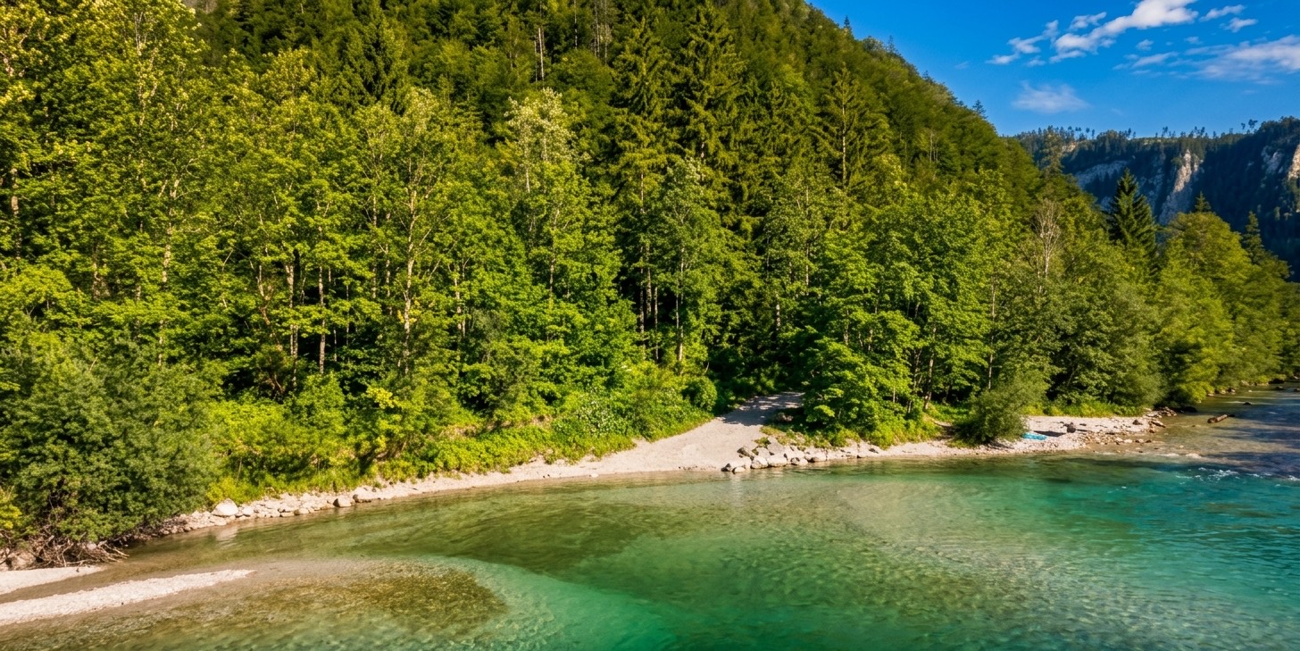Türkises Wasser der Salza vor bewaldeten Berghängen bei Wildalpen